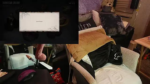 roknblaze — 205025 SEC CONTROL LINK